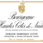 Domaine Antonin Guyon Bourgogne Hautes Cotes De Nuits Blanc 2023