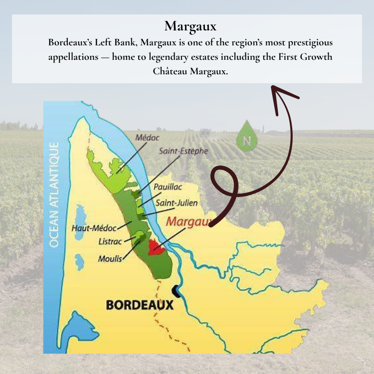 Vineyards in Margaux, a prestigious appellation of Bordeaux’s Left Bank, home to Château Margaux and other legendary estates.