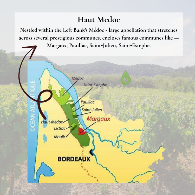 Bordeaux’s Médoc wine region with top Left Bank appellations: Margaux, Pauillac, Saint-Julien, and Saint-Estèphe, known for premium red wines.