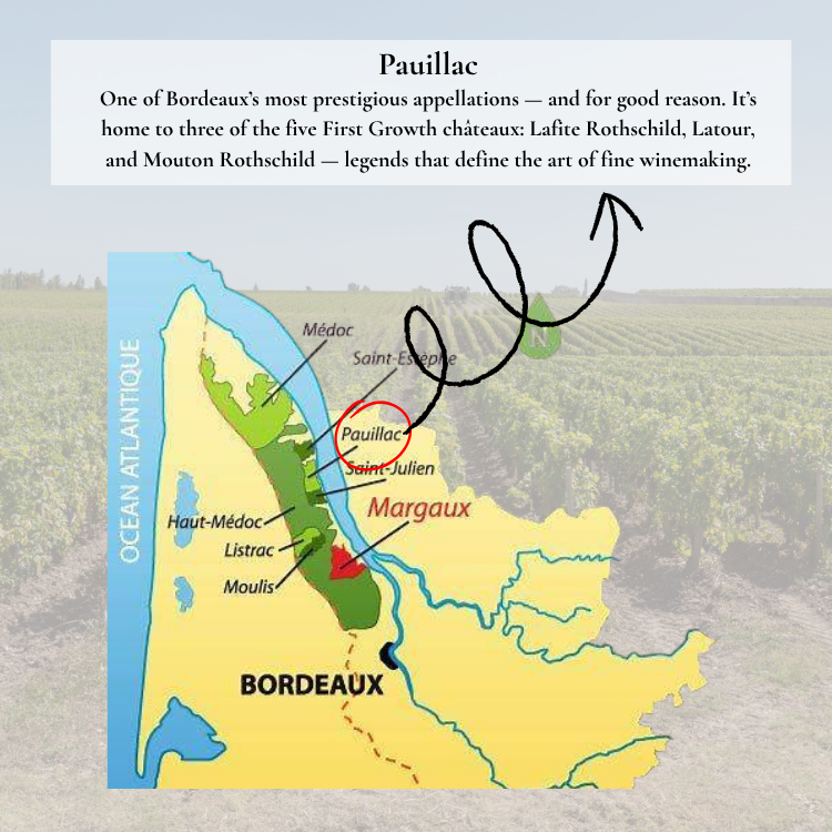Vineyards in Pauillac, Bordeaux Left Bank, featuring First Growth châteaux Lafite Rothschild, Latour, and Mouton Rothschild.
