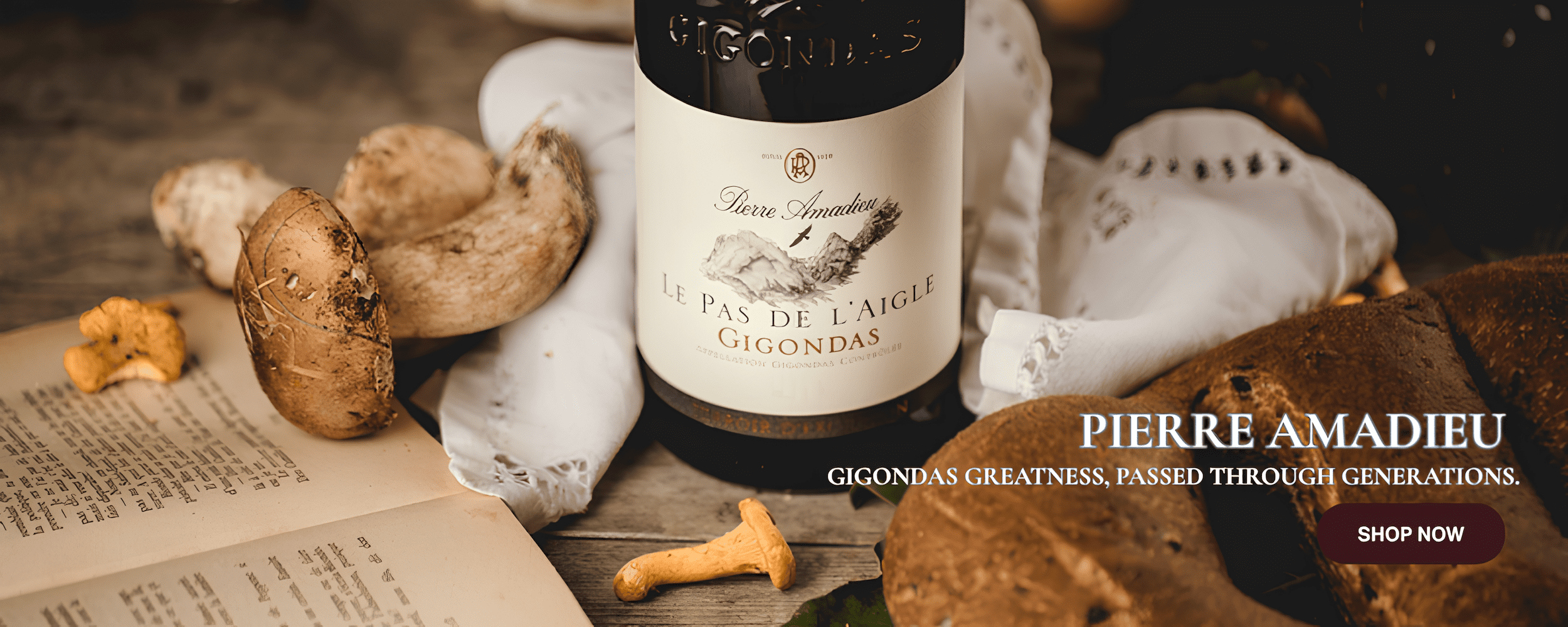 MC Website Banner-2-2