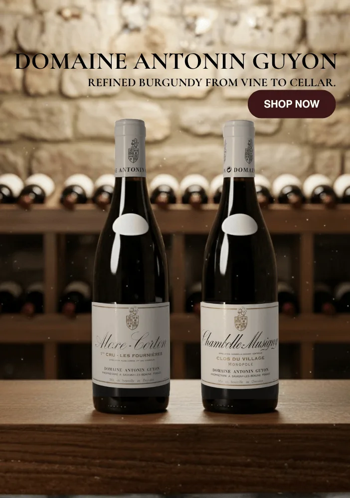 domaine_antonin_guyon_mobile