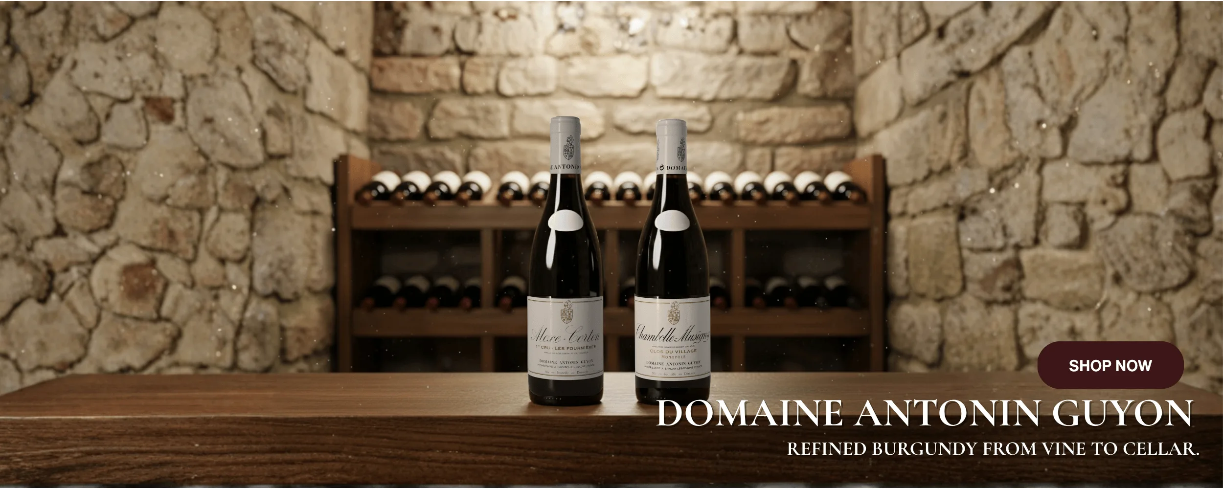 domaine_antonin_guyon_web