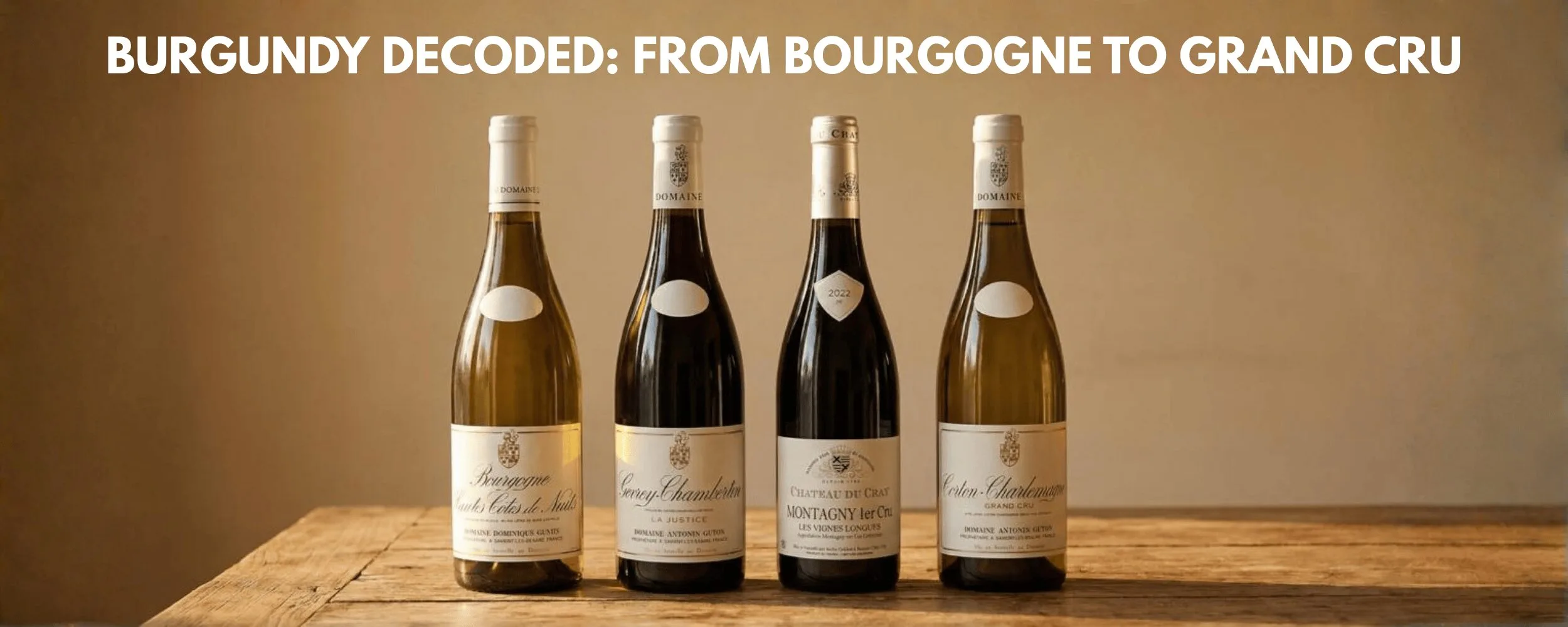 Guide to Burgundy_web