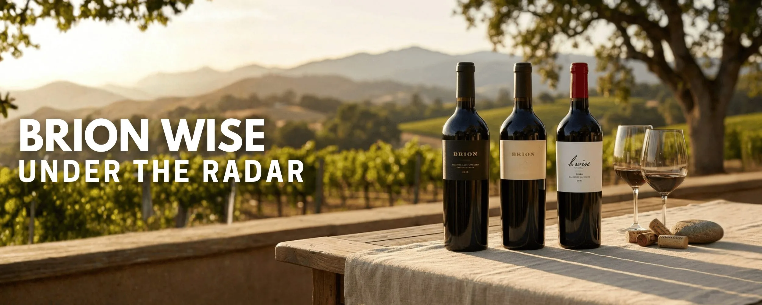 the-art-of-cabernet-_newwebbanner